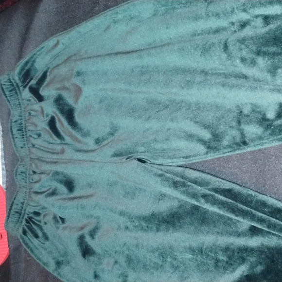 SJB Sport Woman's Pants Color: Forest Green Size Small Petite 100% Polyester - Picture 5 of 13